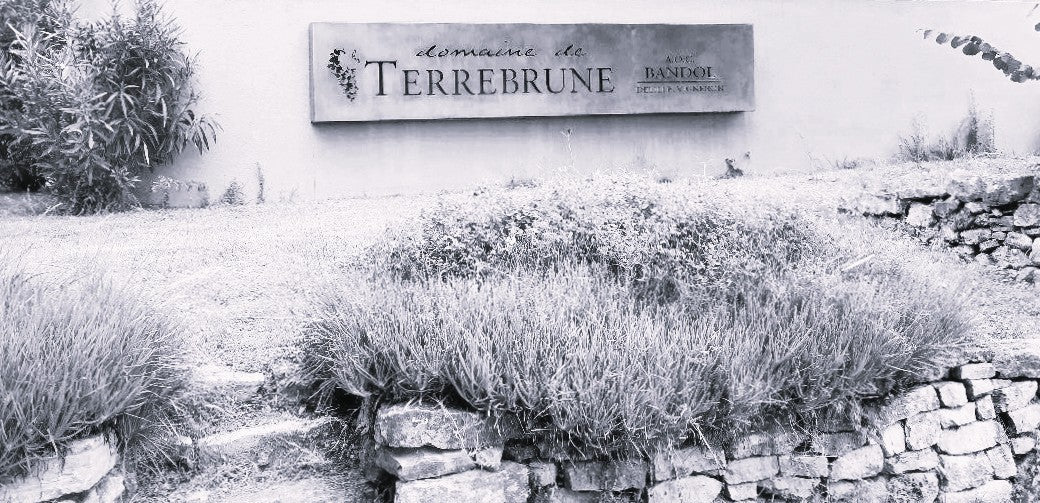 ML PHOTO- Domaine de Terrebrune 9