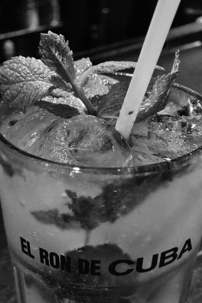 ML PHOTO - CONVENTION NATIONALE IAD FRANCE 15