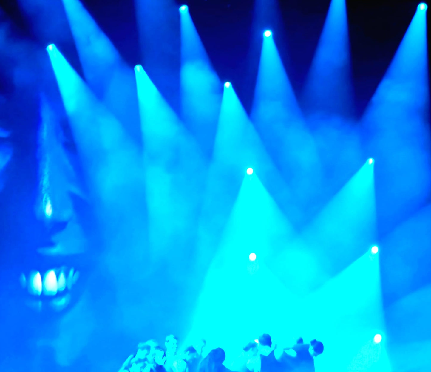 ML PHOTO - CONVENTION NATIONALE IAD FRANCE 7