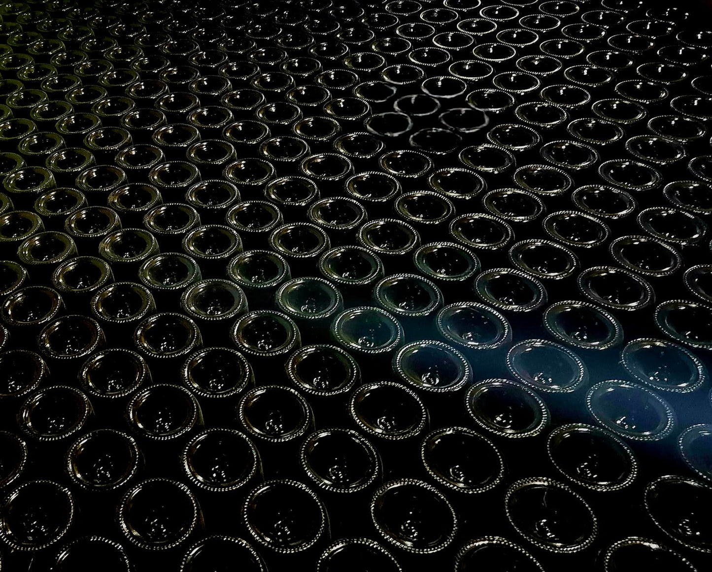 ML PHOTO - DOMAINE DE TERREBRUNE 2