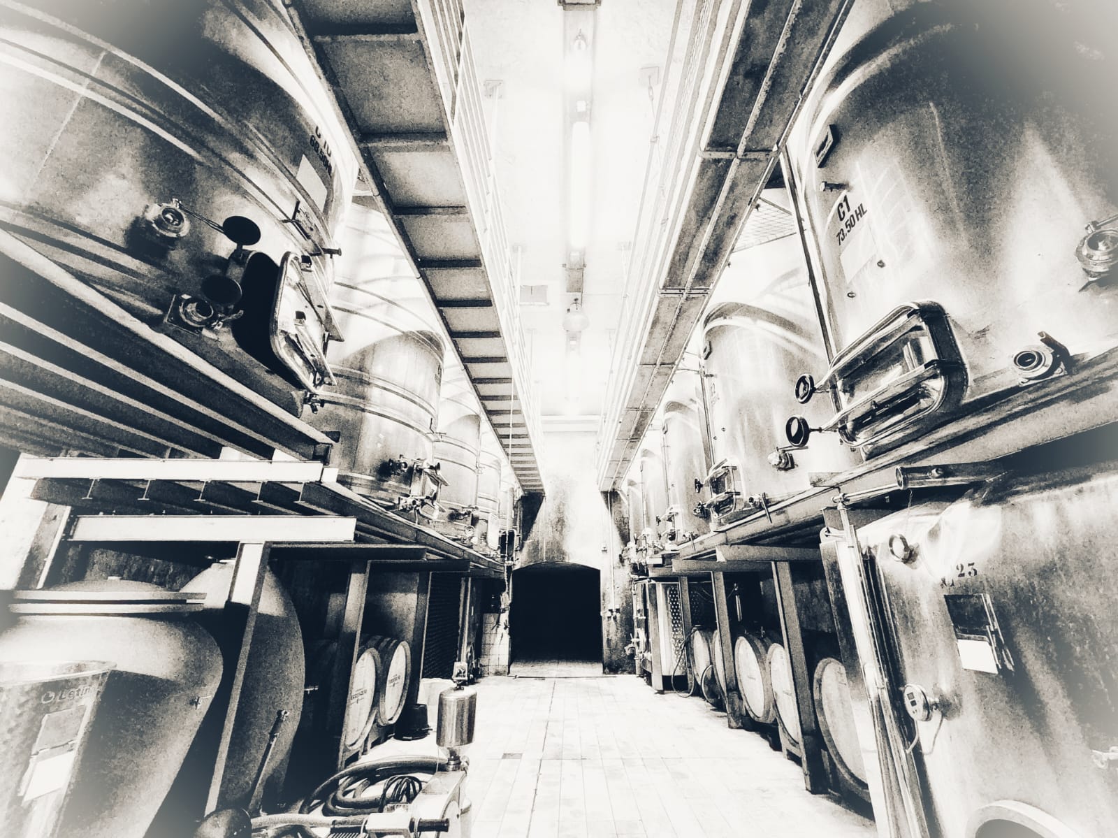 ML photo domaine de Terrebrune 2