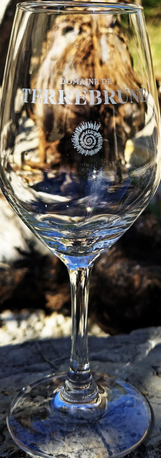 ML photo domaine de Terrebrune 4