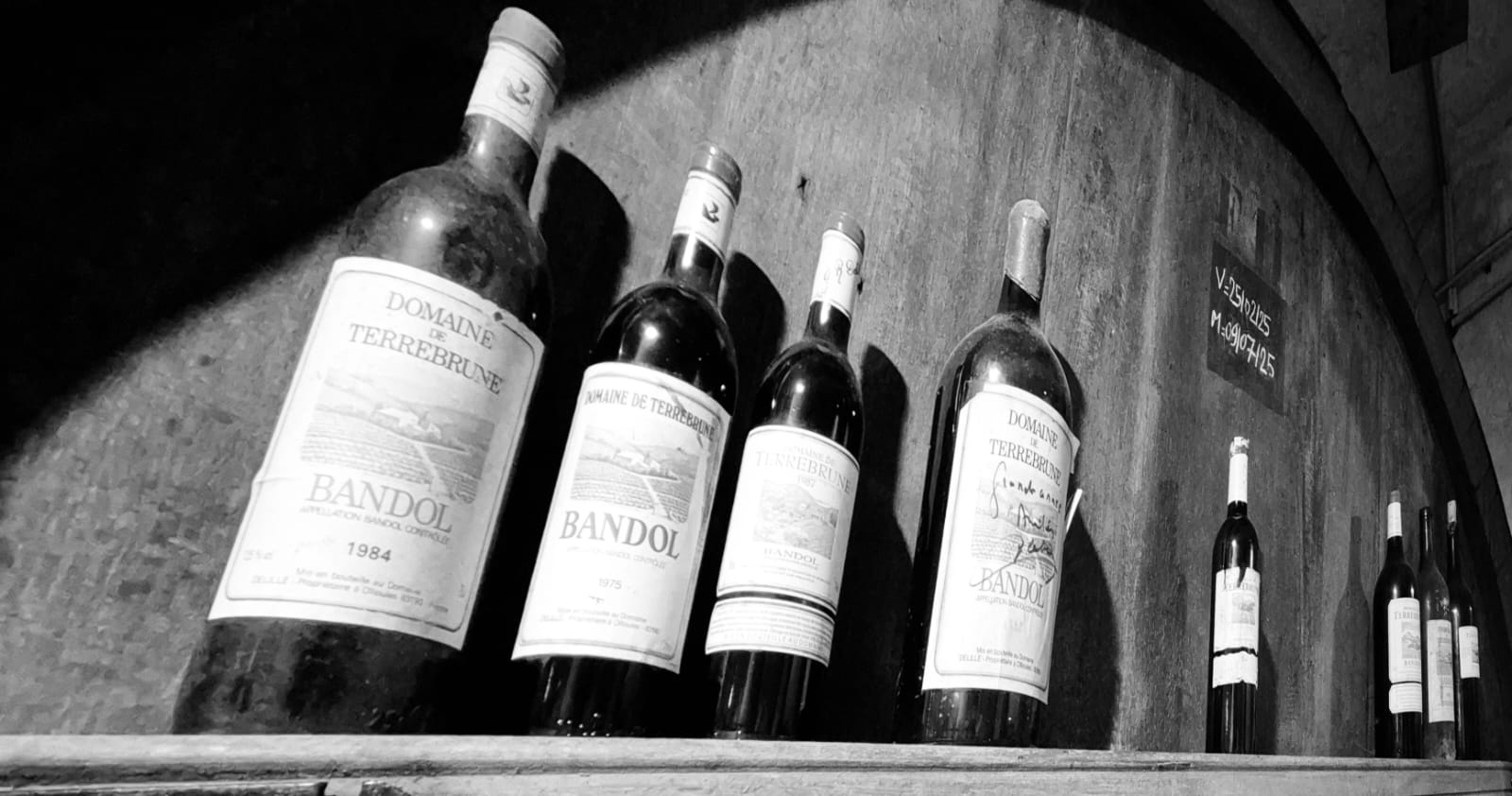 ML photo domaine de Terrebrune 5