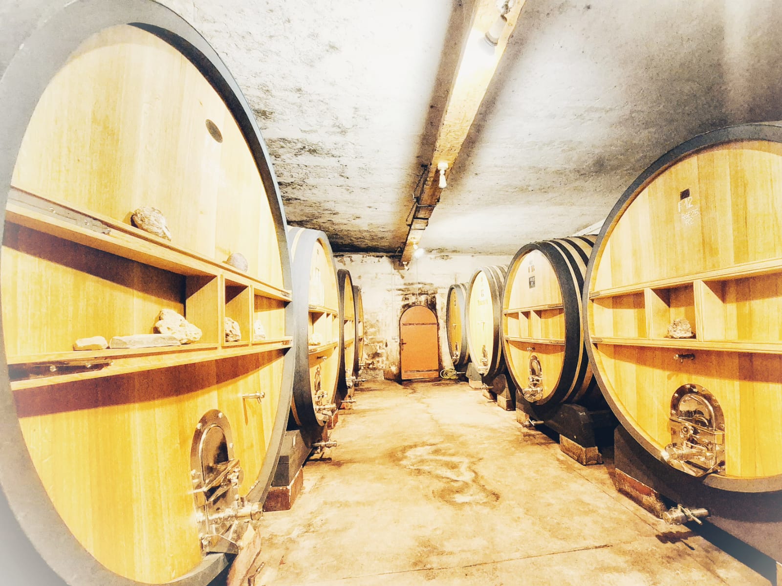 ML photo domaine de Terrebrune 6